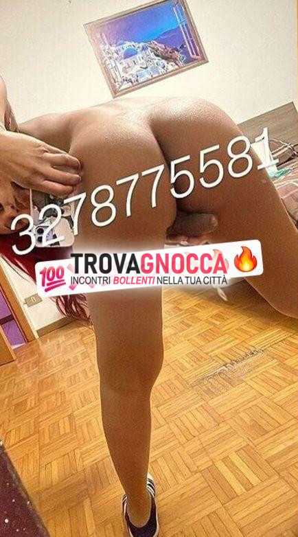trento sud💯❌️💯🔥🔥❄️❄️transessuale 🐷 quello che vedi È solo l'inizio ciÒ che scoprirai 🐷
