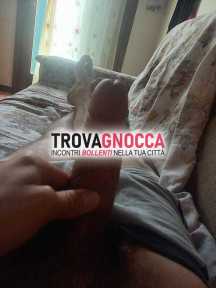 ciao sono marco e sono alla ricerca donna che ami lato b. posso ospitare
