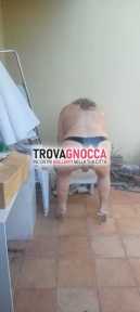 bocchinara trav ti aspetta bocca aperta bocchinara trav ti aspetta bocca aperta