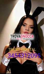 esclusiva 🎉prima volta 🥳🍾💋transessuale 👑 krystal porca e trasgressiva 🐽20 cm cm🐷 piena crema💦super completa. attiva e passiva