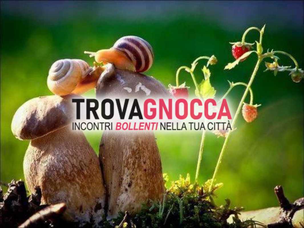 cerco compagnia femminile