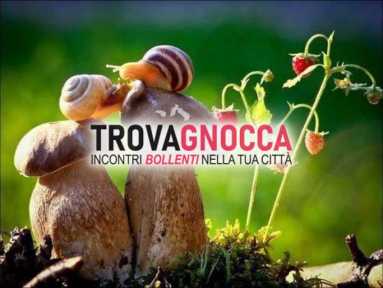 cerco compagnia femminile
