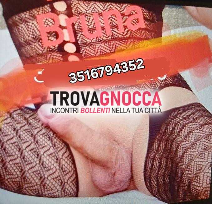 castelfranco transessuale bruna un'esperienza piacevole e intensa