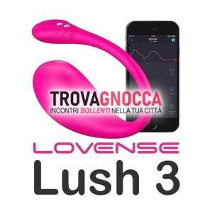 regalo sextoy lush3