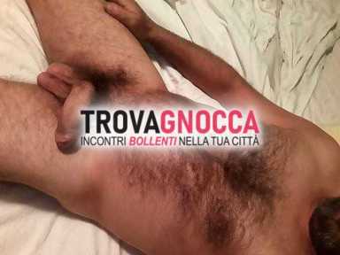 attivo bsx bull