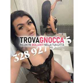 ‼️new new new‼️ appena arrivata terracina ⭐️⭐️⭐️⭐️⭐️ ramona transexy - tuo godimento fine alla fine. 🇧🇷🍆💦🍑🐷