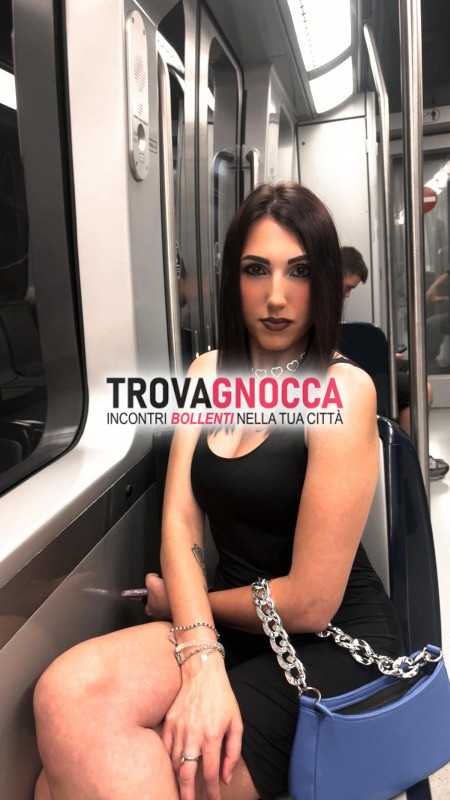 cercarsi cane che obbedisce non tirchio