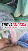 sesso e tanto altro sesso e tanto altro