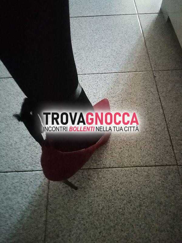 cerco seduttori che osservano boschetti mentre passiolo val d'orcia