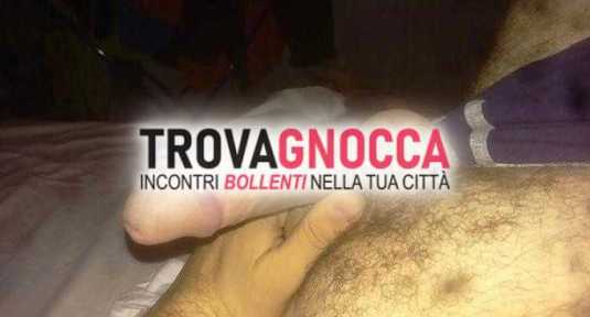 toro cercasi porca conquistare