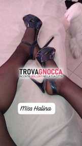 follonica😎 mistress halina 𝐋𝐀 𝐓𝐔𝐀 𝐏𝐀𝐃𝐑𝐎𝐍𝐀 𝐒𝐄𝐕𝐄𝐑𝐀 𝐄 𝐀𝐔𝐓𝐎𝐑𝐈𝐓𝐀𝐑𝐈𝐀 È in tour nella cittÀ dominarti annullarti e rieducarti𝐍𝐎𝐍 𝐂𝐈 𝐒𝐀𝐑𝐀𝐍𝐍𝐎 𝐋𝐈𝐌𝐈𝐓𝐈