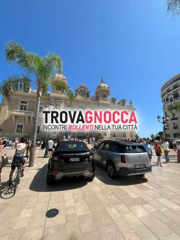 4
vi massaggio sesso serata divertente dotato cervello e cazzo vostro benessere sessuale e psichico massaggio tantrico e non e tanto buon sesso tutto gratuito chiedo solo pulizia e rispetto vengo domicilio anche accompagnatore serate 37 anni uomo cerca donna