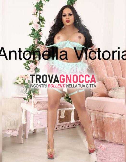 mirafiori sud transessuale antonella 🇧🇷 cavallona sia attiva che passiva🔥 ricca e soddisfacente💦 eccezionale e serena minchia durissimo㈅ puoi richiedere videochiamata conferma e controllare mie foto vere