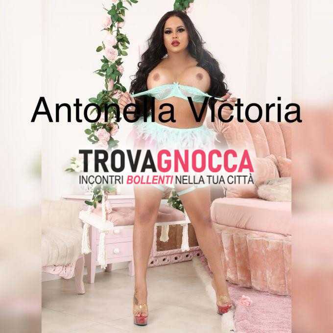 mirafiori sud transessuale antonella 🇧🇷 cavallona sia attiva che passiva🔥 ricca e soddisfacente💦 eccezionale e serena minchia durissimo㈅ puoi richiedere videochiamata conferma e controllare mie foto vere