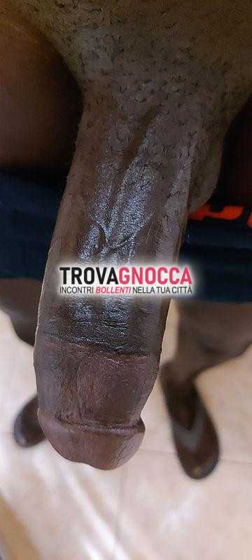 black dotato adesso