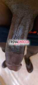 black dotato adesso