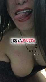 trans franca villa brava porca e perversa trans franca villa brava porca e perversa