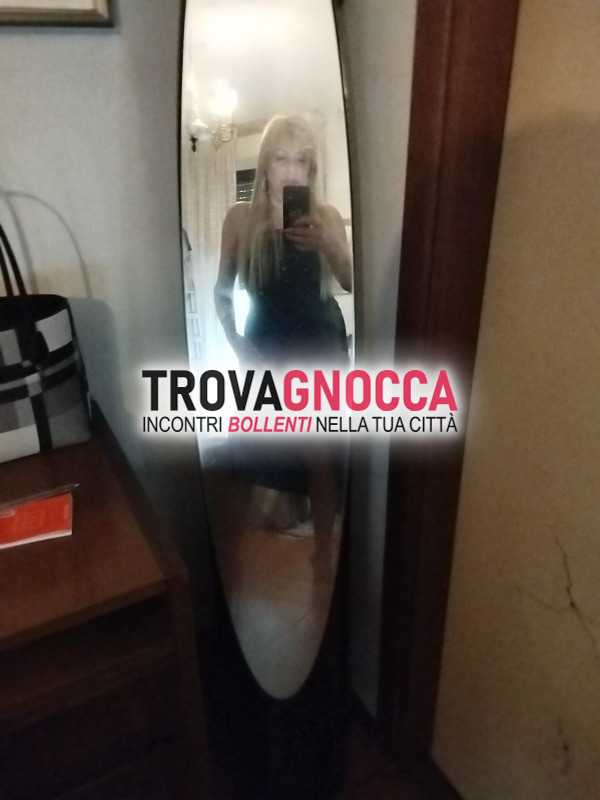 bella gattina biricchina