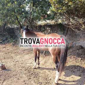🔥 henrico – vero maschio 190m 🔥 
28 anni – potente robusto grande fondoschiena piedi enormi e minchia straordinaria… tutto xxl