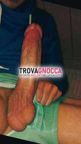 🐎🍆 gran cazzone duro vogliose. sono disponibile videochiamata o incontro e posso ospitare casa mia lussuosa. contattami whatsapp