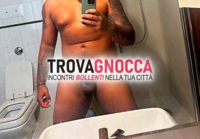 mulatto attivo