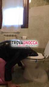 sono schiavo cerco master padrone maturo sono schiavo cerco master padrone maturo