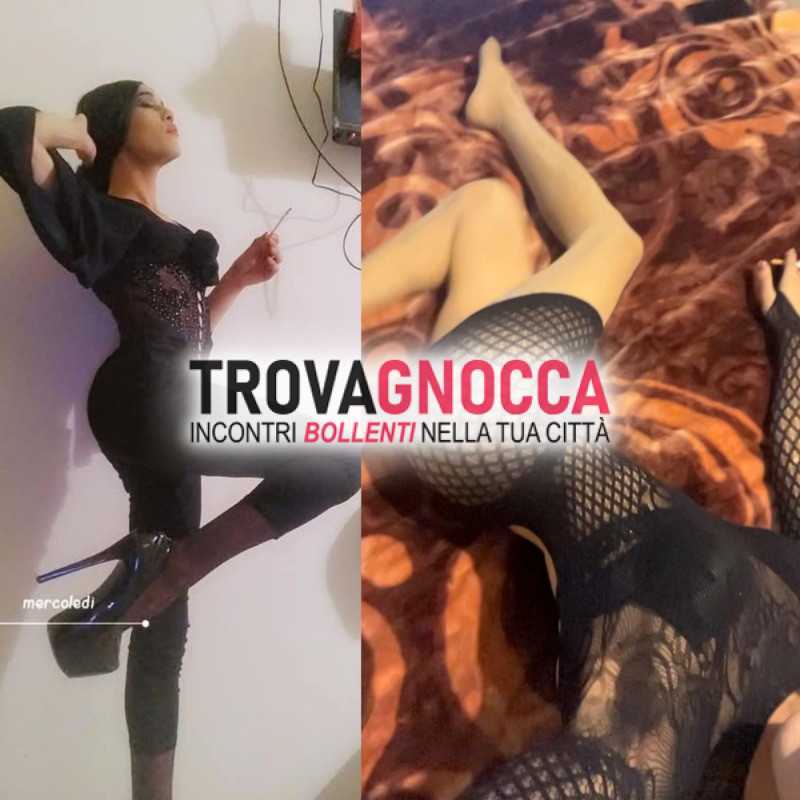 moncalieri transex
ayicha 🍆 puro piacere 💦👌 sono reale al 100 amo godere e soprattutto farti godere ♥️