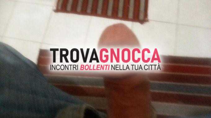 due amici bull intraprendenti cerca avventure scottanti