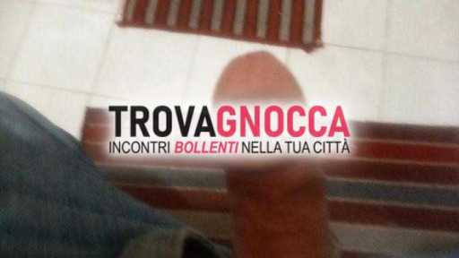 due amici bull intraprendenti cerca avventure scottanti