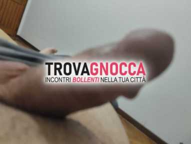 zocca zocca