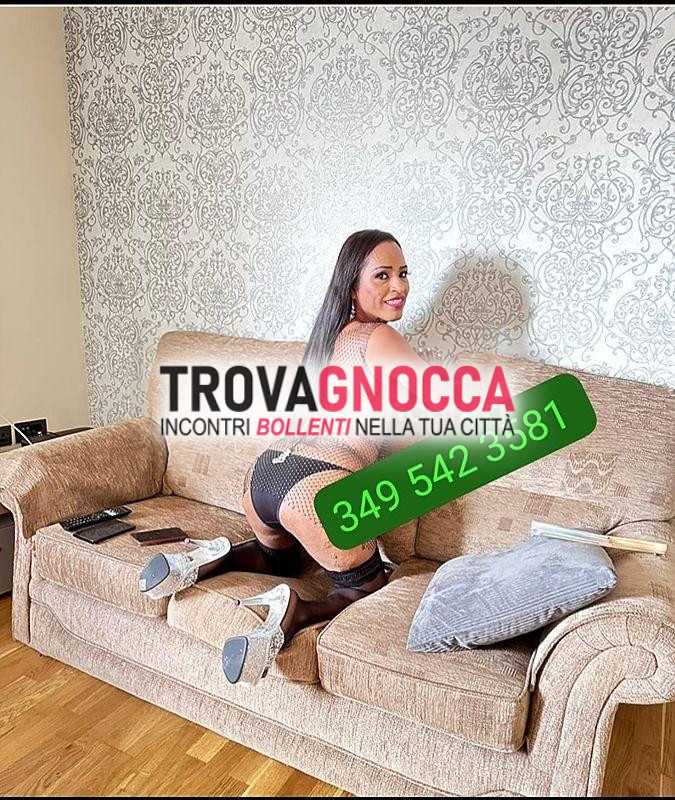 💛ambiente rinfrescato transessuale ferrara 💛dulce maria terza gamba xxxl 👅una cavallona abbondante e pronta deliziarti latte caldo e fresco 💛 disponibile 24 ore 24 💛