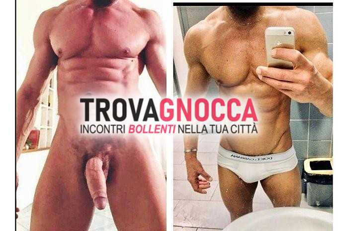 🔵🟢🔴🟤🔵🟢🔴🟤 straordinario toro muscolato e ben definito