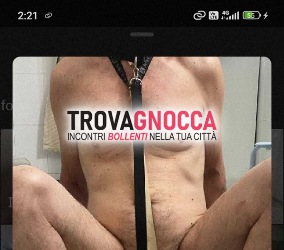 schiavo