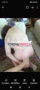 schiavo