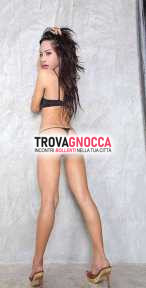 transessuale erotica