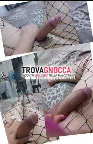 🎊transessuale porca porca porca🎊🎊🍾🍾🍾🥥🎉🎉 pronta soddisfare ogni tua fantasia e più provocante che mai 🐷 sono sia attiva che passiva 🍆 e ti offrirò massaggi tocco unico e indimenticabile con 🎊transessuale porca porca porca🎊🎊🍾🍾🍾🥥🎉🎉 pronta soddisfare ogni tua fantasia e più provocante che mai 🐷 sono sia attiva che passiva 🍆 e ti offrirò massaggi tocco unico e indimenticabile con