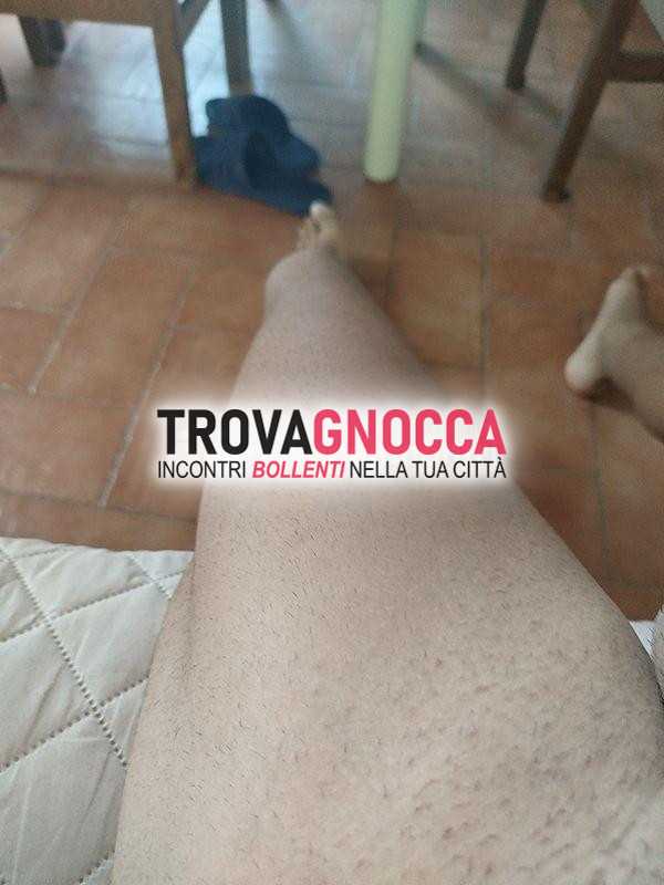 aiello siciliano dotazione 23.