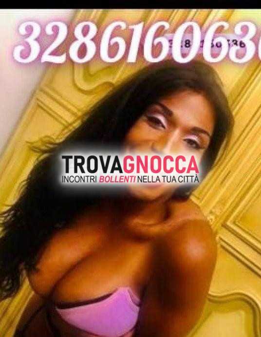 novità imperdibile transessuale brasiliana bianca ti attende incontro speciale ma solo pochi giorni 💞