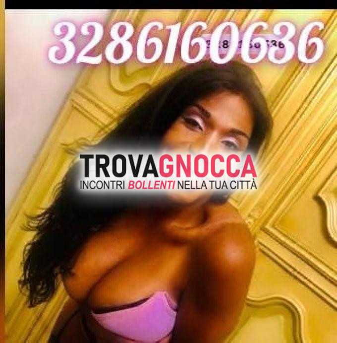 novità imperdibile transessuale brasiliana bianca ti attende incontro speciale ma solo pochi giorni 💞
