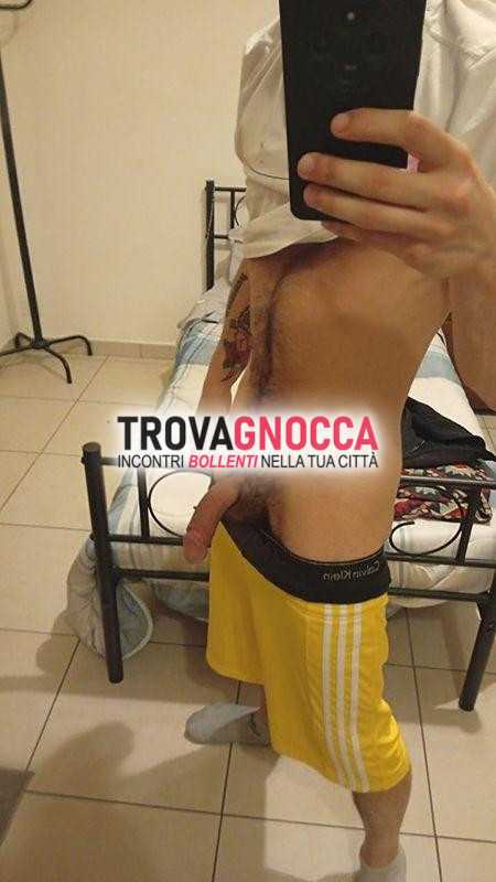 toro padrone