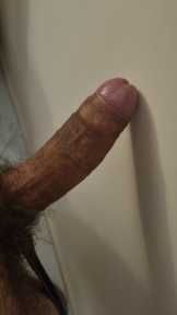 no coppie no gay
solo donne
dotato 23 cm notte speciale o momenti top
alto e atletico tutto voi. anche ultra sessantenni