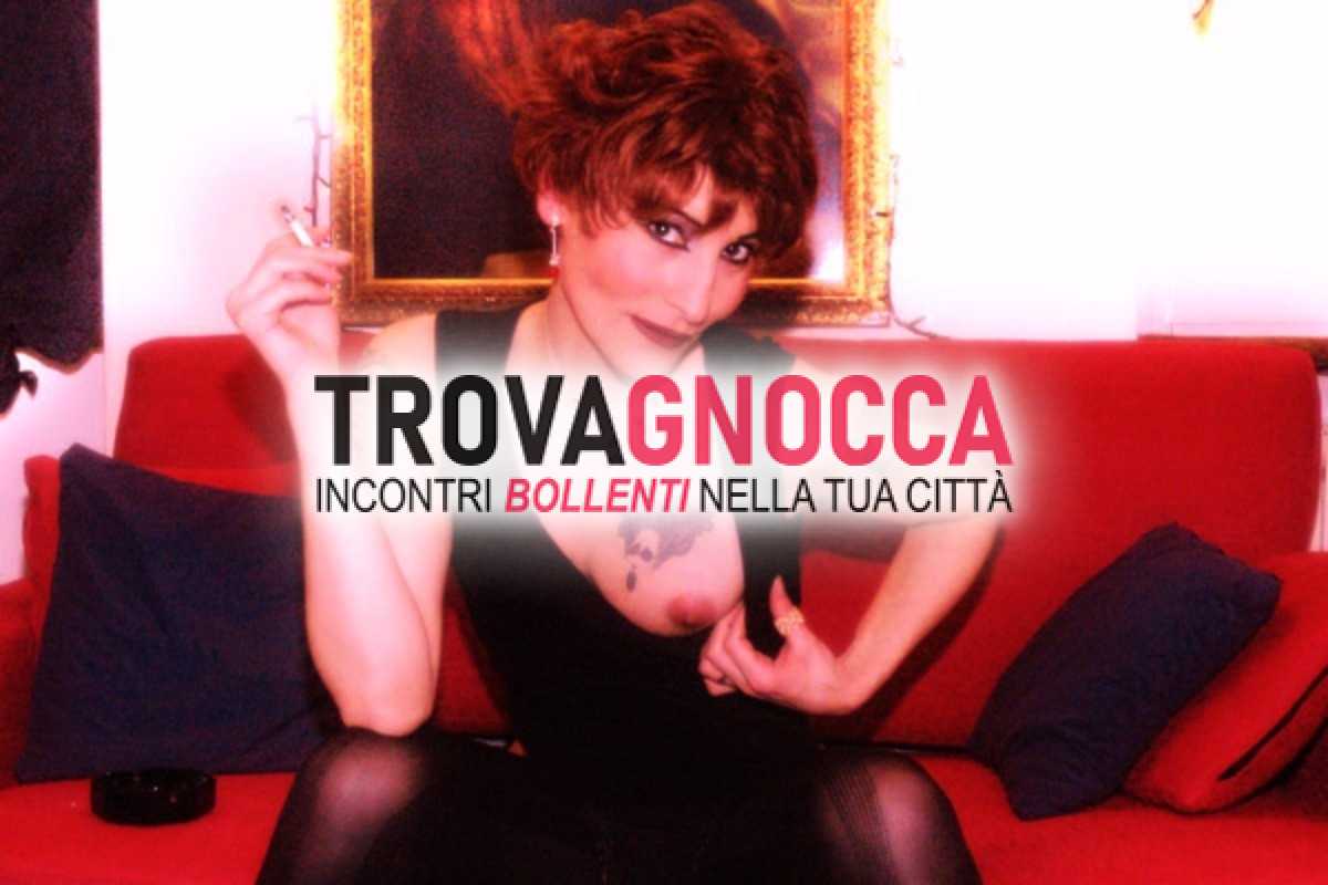 angelica transex