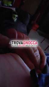 bull dotato ospitale