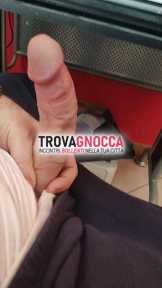bull dotato ospitale