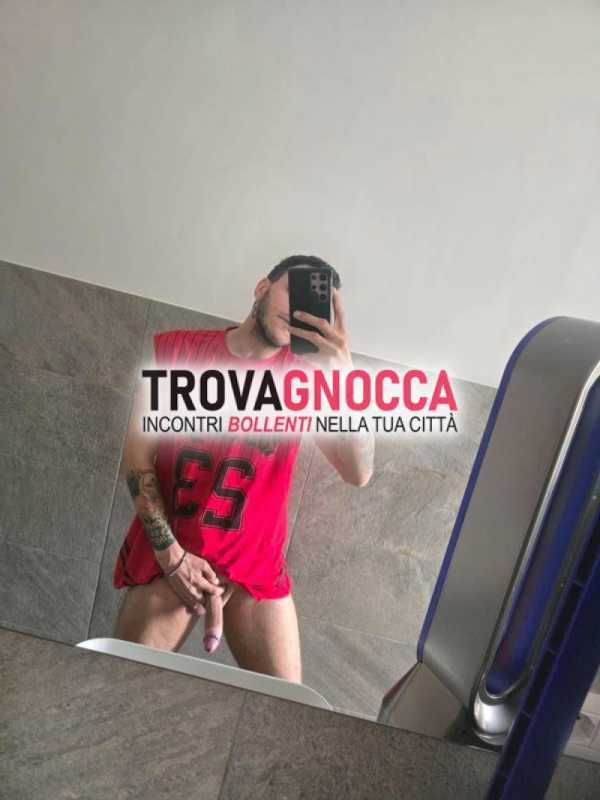 bull 22 cm cerca divertimento gratis