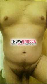 cerco orso