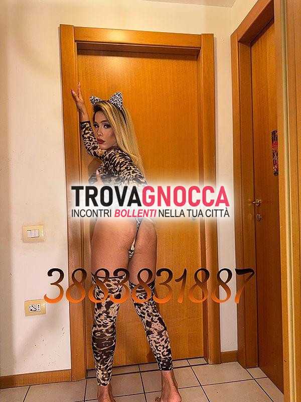 📍💯🐷beatrice britto 🐷🐷🐷 incantevole transessuale 👅la bambola sesso senza limitisexy affascinante molto calda e assolutamente arrapante zona parcheggio privato