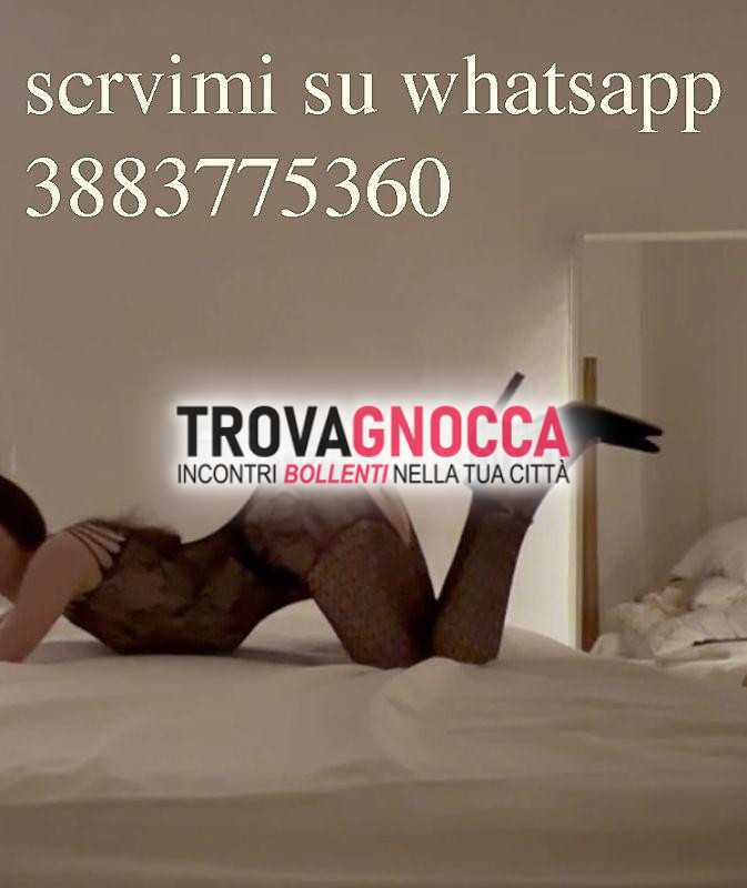 🔥🐷 transessuale 23 anni caserta 🔥 passiva e pronta momenti intensi vedere immagine