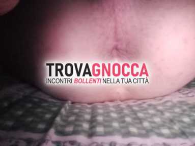 troiona23 troiona23