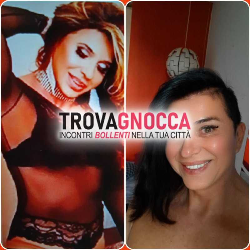 a castelfranco troverai trans bruna